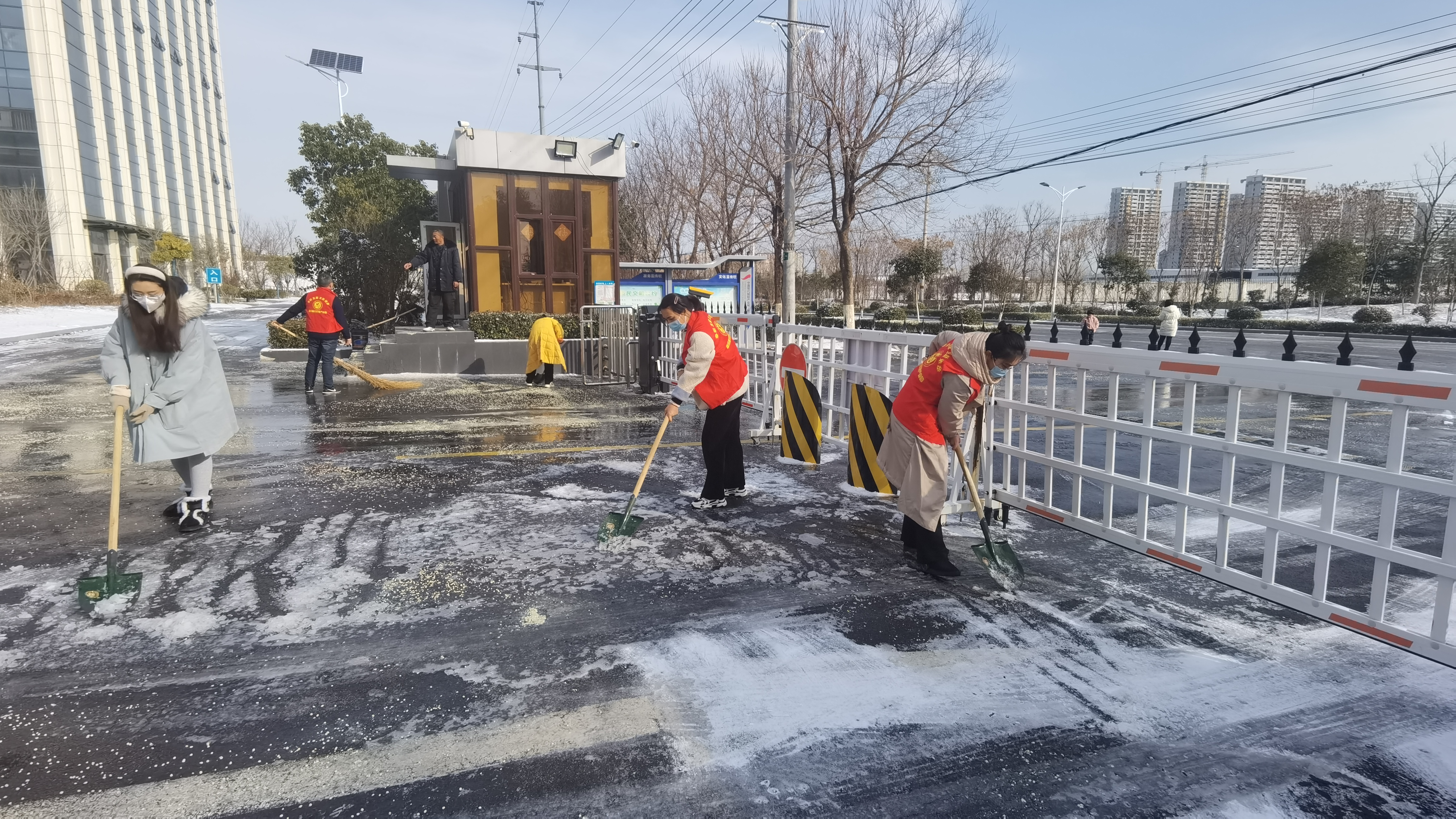 志愿零距离，清雪暖人心(图3)