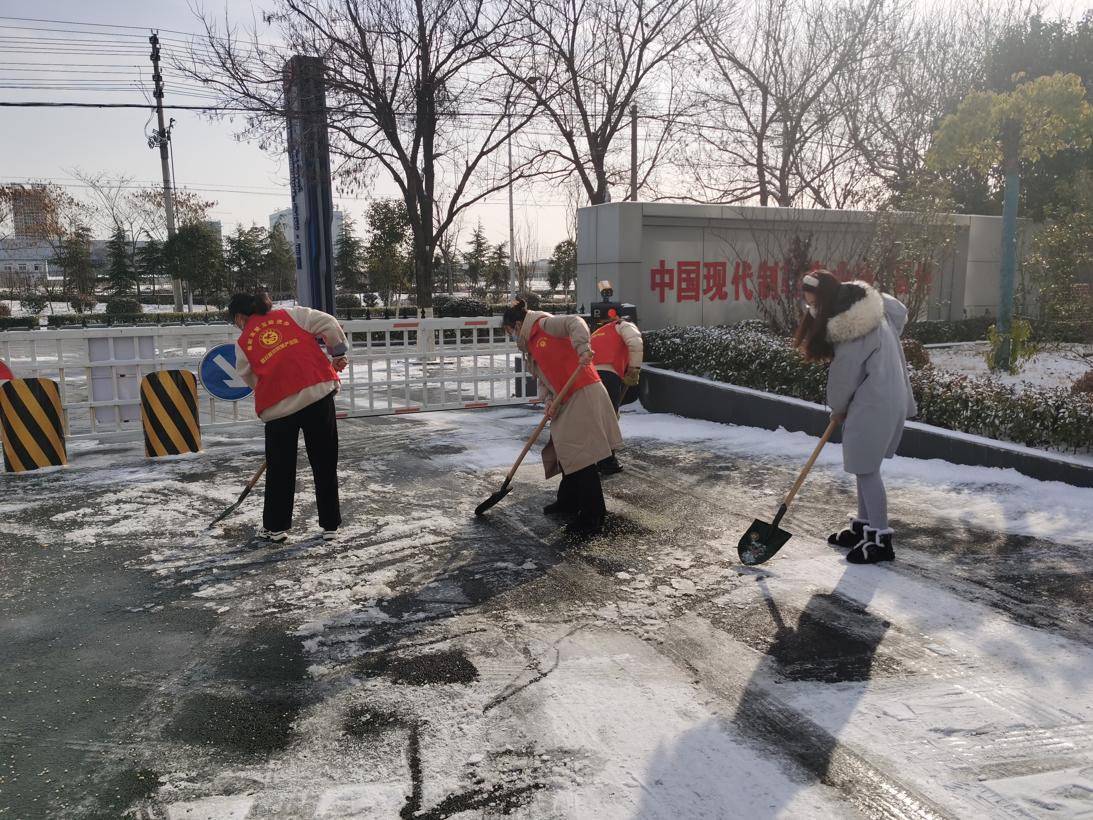 志愿零距离，清雪暖人心(图4)
